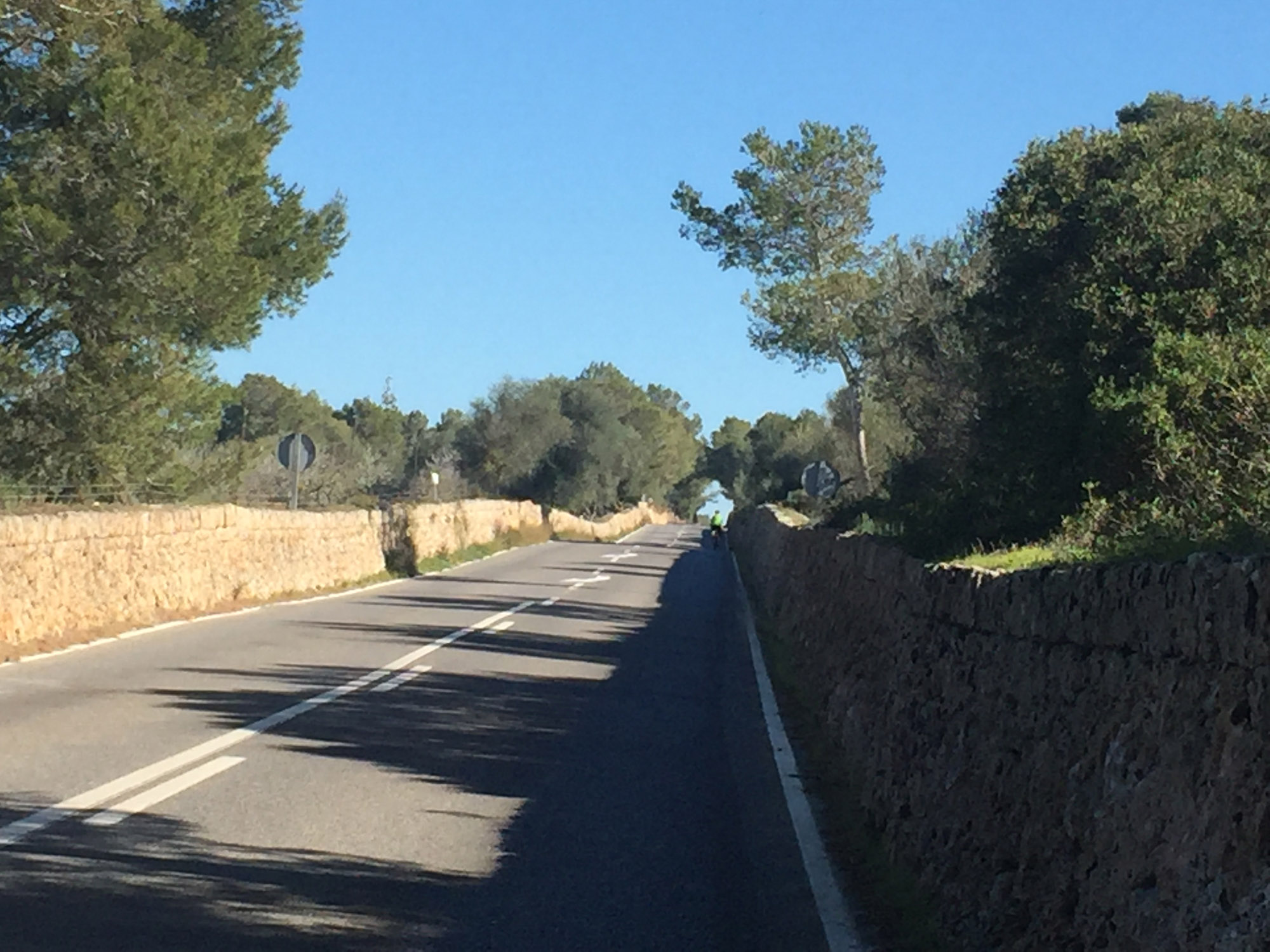 Einmal Malle, immer Malle ...!